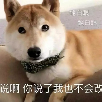 我是最靓的狗仔表情包-34-