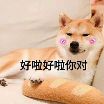我是最靓的狗仔表情包-35-