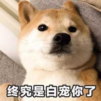 我是最靓的狗仔表情包-37-