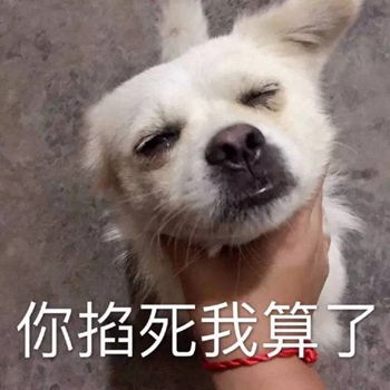 我是最靓的狗仔表情包-44-
