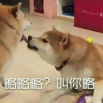 我是最靓的狗仔表情包-46-