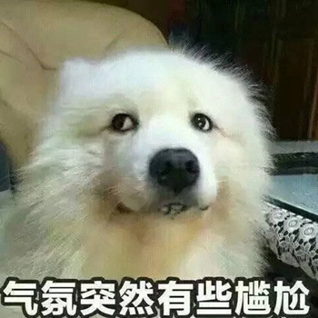 我是最靓的狗仔表情包-47