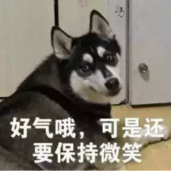 我是最靓的狗仔表情包-48-