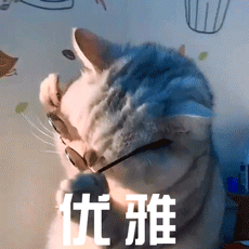 动图喵星人猫片gif表情包-2-