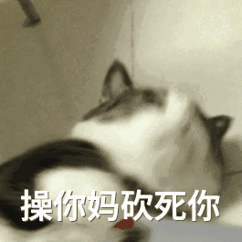动图喵星人猫片gif表情包-3-