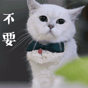 动图喵星人猫片gif表情包-6-