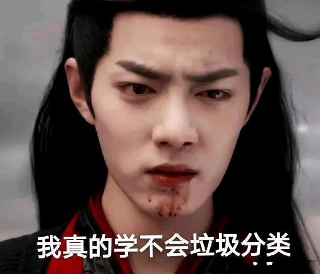 陈情令魔道祖师肖战魏无羡表情包-2 -