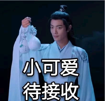 陈情令魔道祖师肖战魏无羡表情包-20-