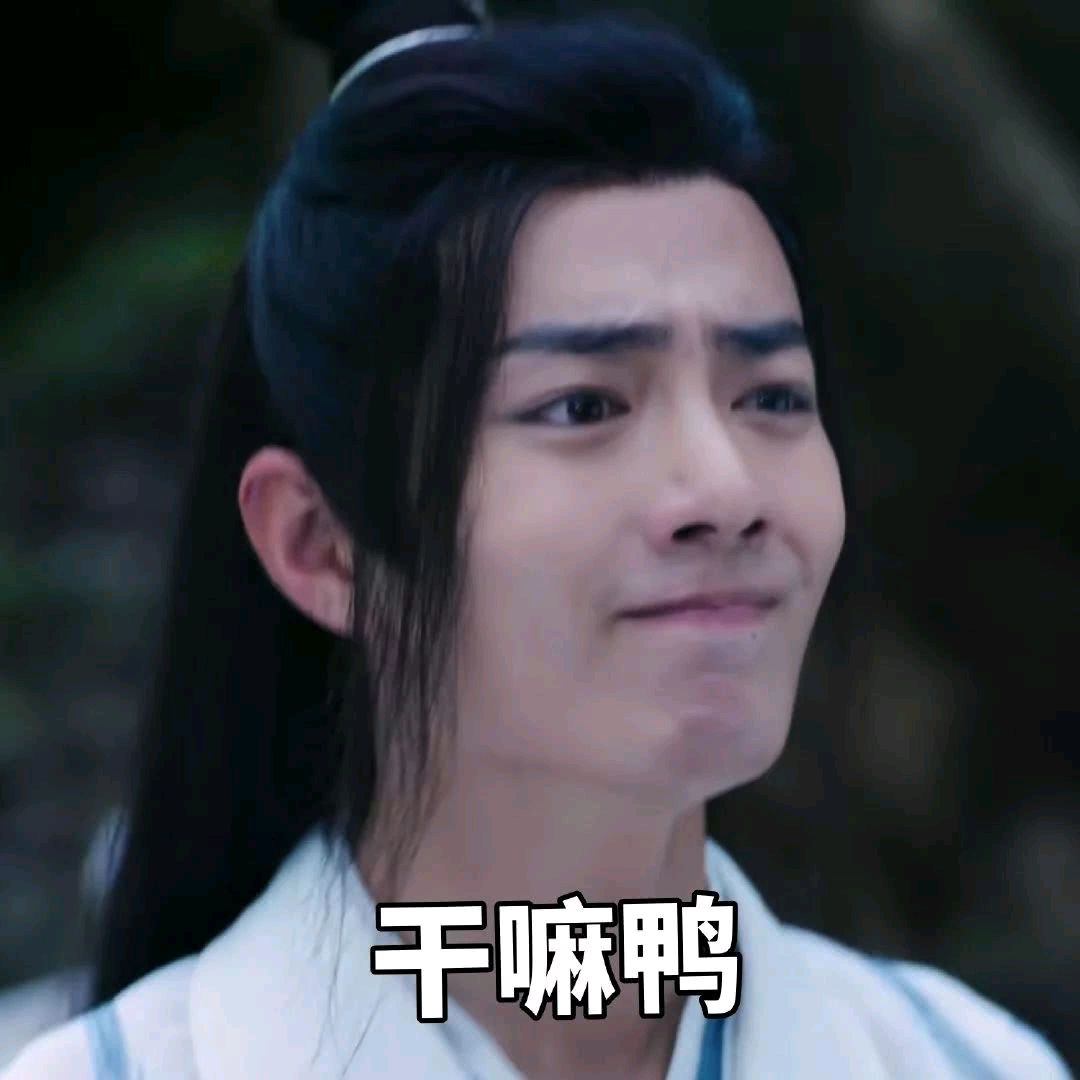 陈情令魔道祖师肖战魏无羡表情包-21-