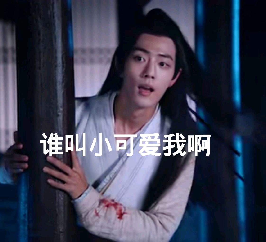 陈情令魔道祖师肖战魏无羡表情包-26-