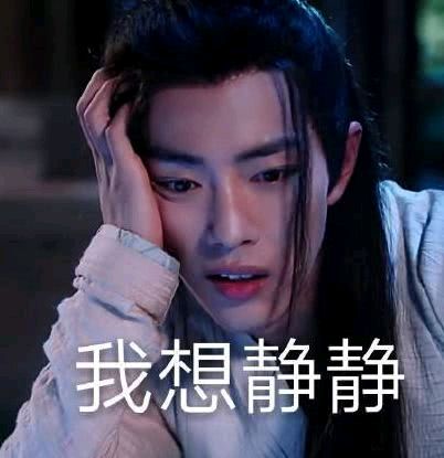 陈情令魔道祖师肖战魏无羡表情包-31-