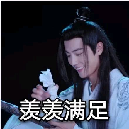 陈情令魔道祖师肖战魏无羡表情包-41-