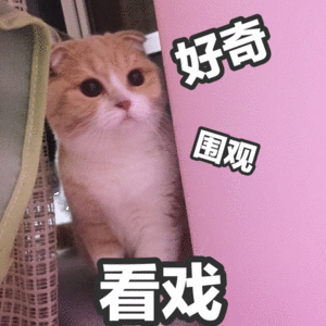 熊猫头看戏表情包-3 