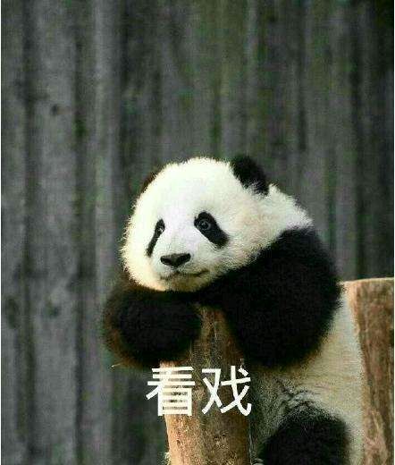 熊猫头看戏表情包-12