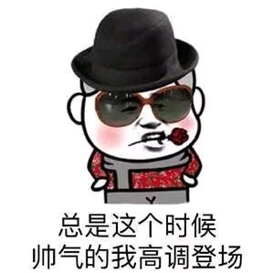 熊猫头蘑菇头各种登场表情包-27-