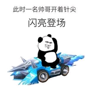 熊猫头蘑菇头各种登场表情包-28-