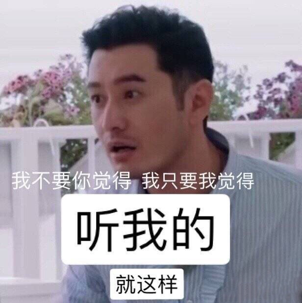 黄晓明明言熊猫头gif表情包-2 -