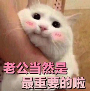 可爱猫咪粉色文字表情包-8 -