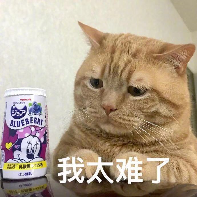 我太难了表情包-5 -