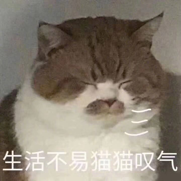 我太难了表情包-6 -