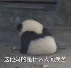 我太难了表情包-11-