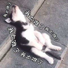 我太难了表情包-19-