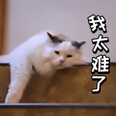 我太难了表情包-21-