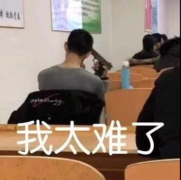 我太难了表情包-25-