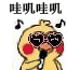 小黄鸡鹦鹉唱歌gif表情包-3-