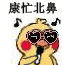 小黄鸡鹦鹉唱歌gif表情包-6-