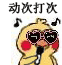 小黄鸡鹦鹉唱歌gif表情包-7-