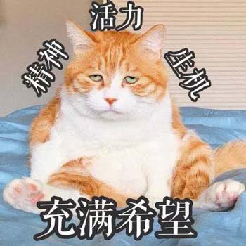 熊猫头蘑菇头各种熬夜表情包7 
