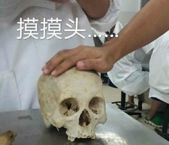 医学生搞笑表情包-1 -