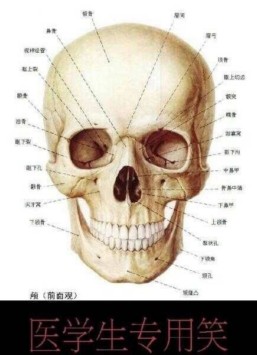 医学生搞笑表情包-4 -