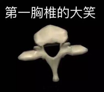 医学生搞笑表情包-5 -