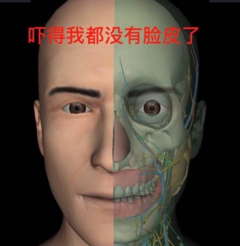 医学生搞笑表情包-11-
