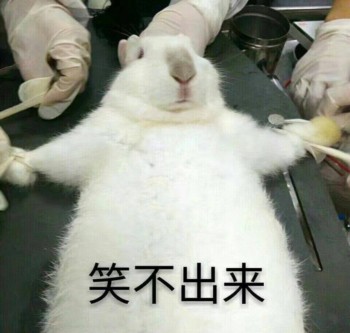 医学生搞笑表情包-21-