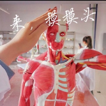 医学生搞笑表情包-33-
