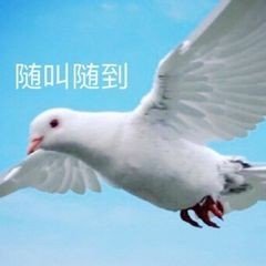 2019年沙雕表情包合集-21-
