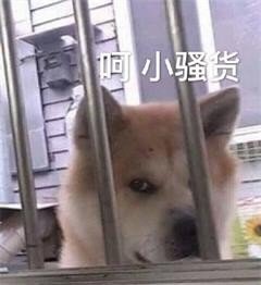 2019年沙雕表情包合集-29-