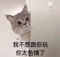 2019年沙雕表情包合集-33-