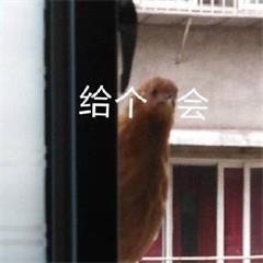 2019年沙雕表情包合集-44-