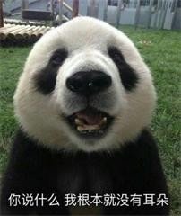 2019年沙雕表情包合集-56-
