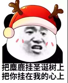 熊猫头过圣诞节表情包-3 
