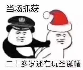 熊猫头过圣诞节表情包-28
