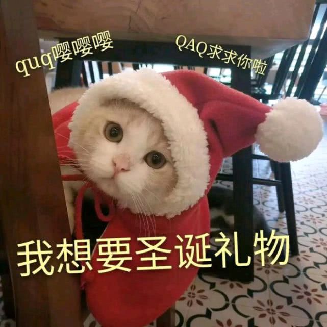 萌娃过圣诞节表情包-42-