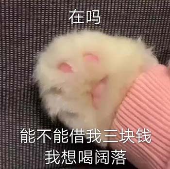 网红大脸猫表情包-1 