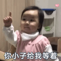 暴躁老娘动态表情包-14-