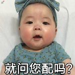 暴躁老娘动态表情包-15-