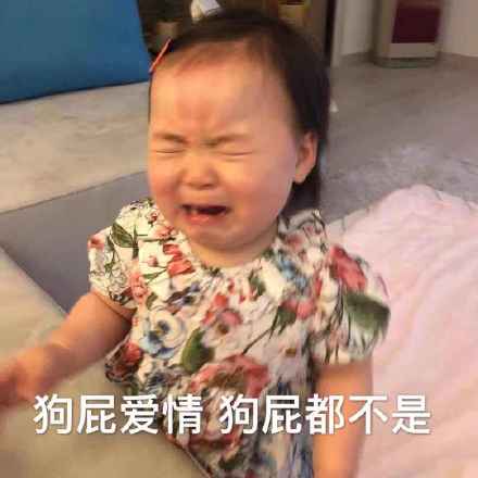 暴躁老娘动态表情包-21-